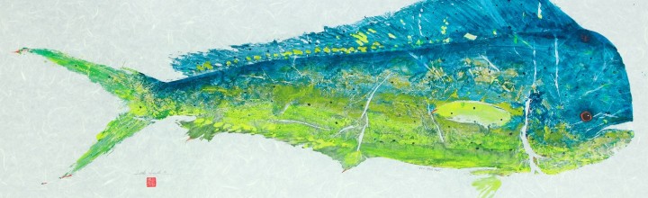 # 613 Bull Mahi Mahi